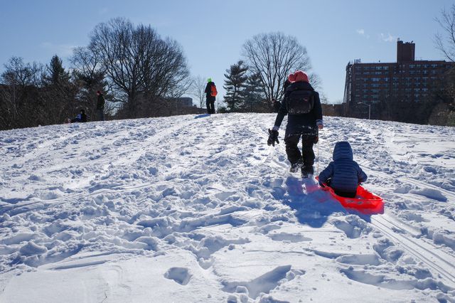 A photo of people sledding in Prospect park